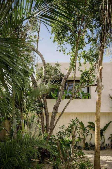 Casa Areca, Awarded Architectural Villa Located In A Secured Gated Community, With Concierge Services Tulum Dış mekan fotoğraf